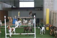 daycare pic 113 - play time